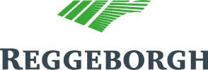 Reggeborgh Groep
